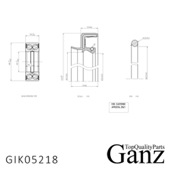Подшипник ступицы задний FORD TRANSIT M12 2.5 93- GANZ GIK05218