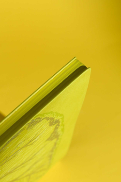 e550f75a_b7b6_11ef_ba9b_d05099d5d12d_f9a1ede6_c3c7_11f0_baba_d05099d5d12d