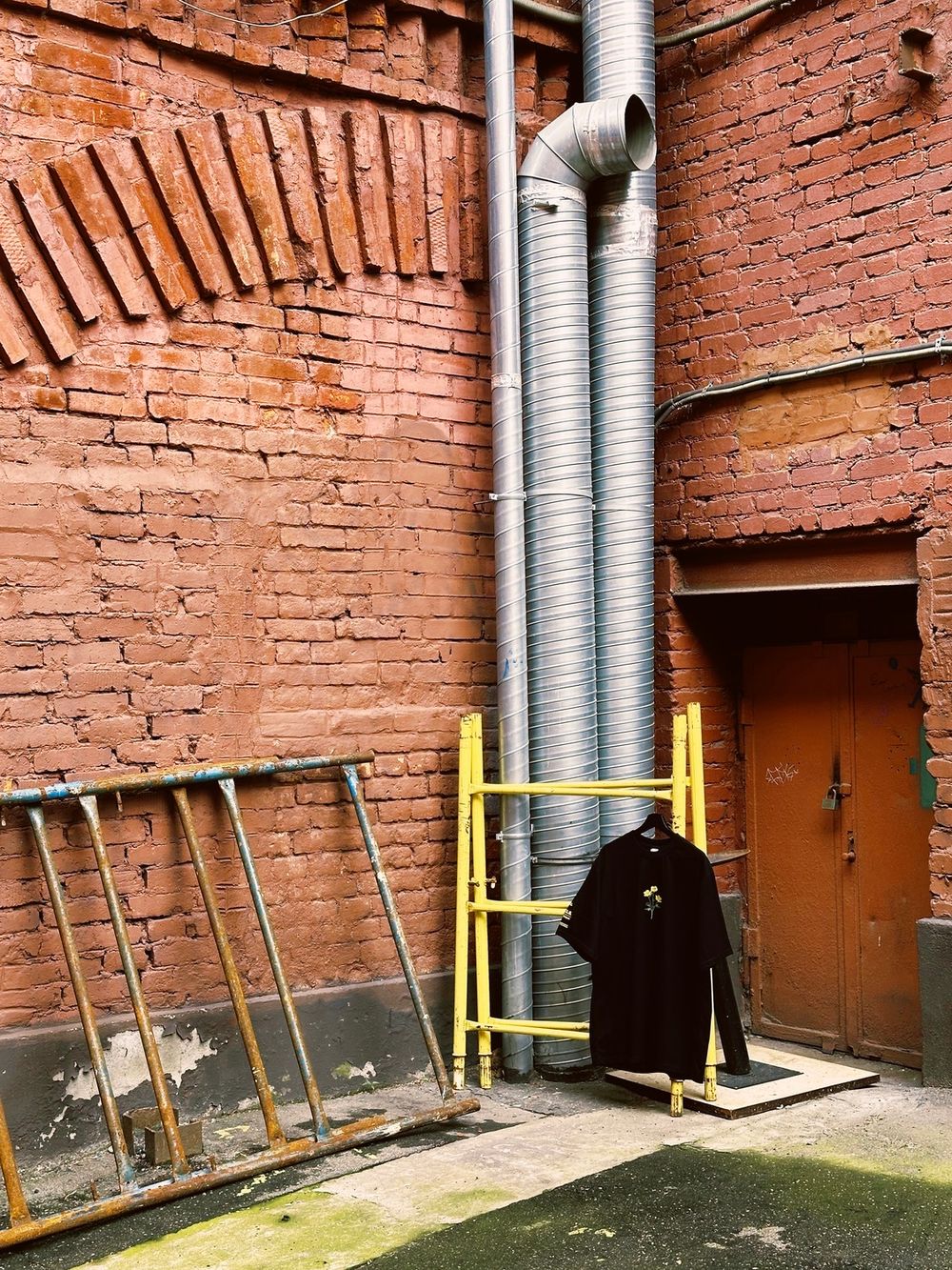 Футболка LCLS. x Гербарий Лютик черная