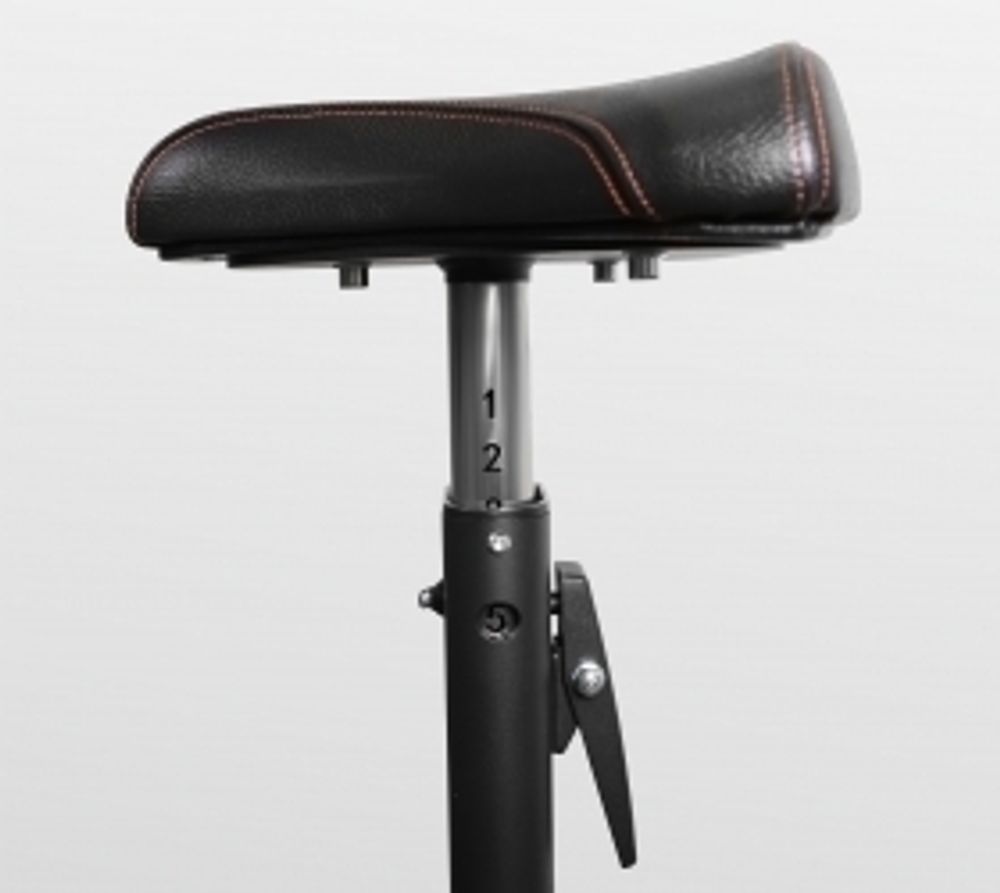 Скамья Скотта Bronze Gym BR-1007