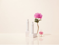Yuzen Duo Daily Gentle Peel - набор (для эффекта осветления и разглаживания кожи) /   / GTIN 8032836267854
