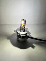 H4 / Автомобильные светодиодные лампы, H4, 200W, 12-60 вольт, LION LED P17, Лев Семнадцать, TG (2 шт. / комплект)