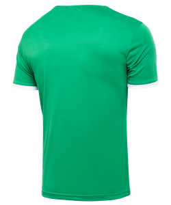 Футболка футбольная CAMP Origin, зеленый/белый, детский