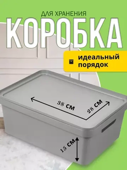 Коробка для хранения вещей Фортуна380х280х150мм Сер