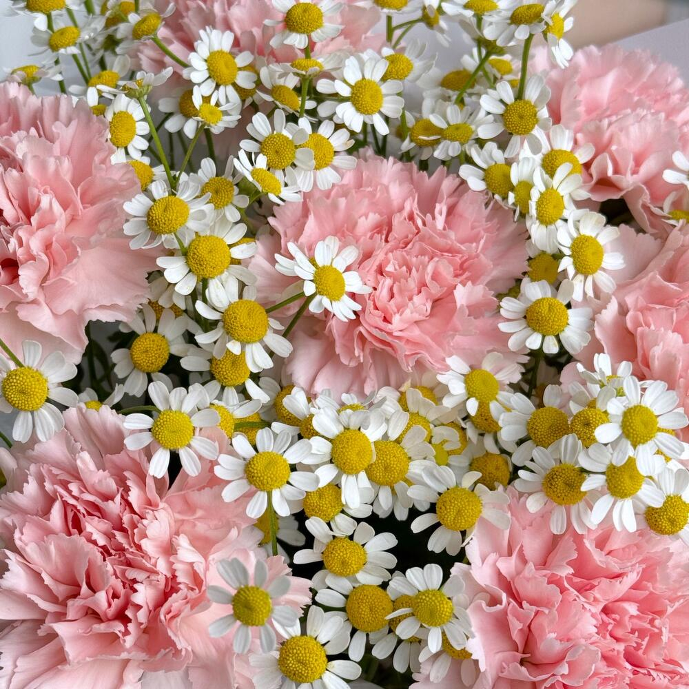 Розовый букет голландская ромашка и диантус