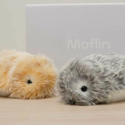 Moflin - питомец с ИИ и эмоциями