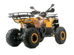 Квадроцикл 200 ALL ROAD X