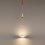 5450/32L ODL_EX Подвес LED 18Вт 2000/3000/4000К 220В IP20 L-VISION