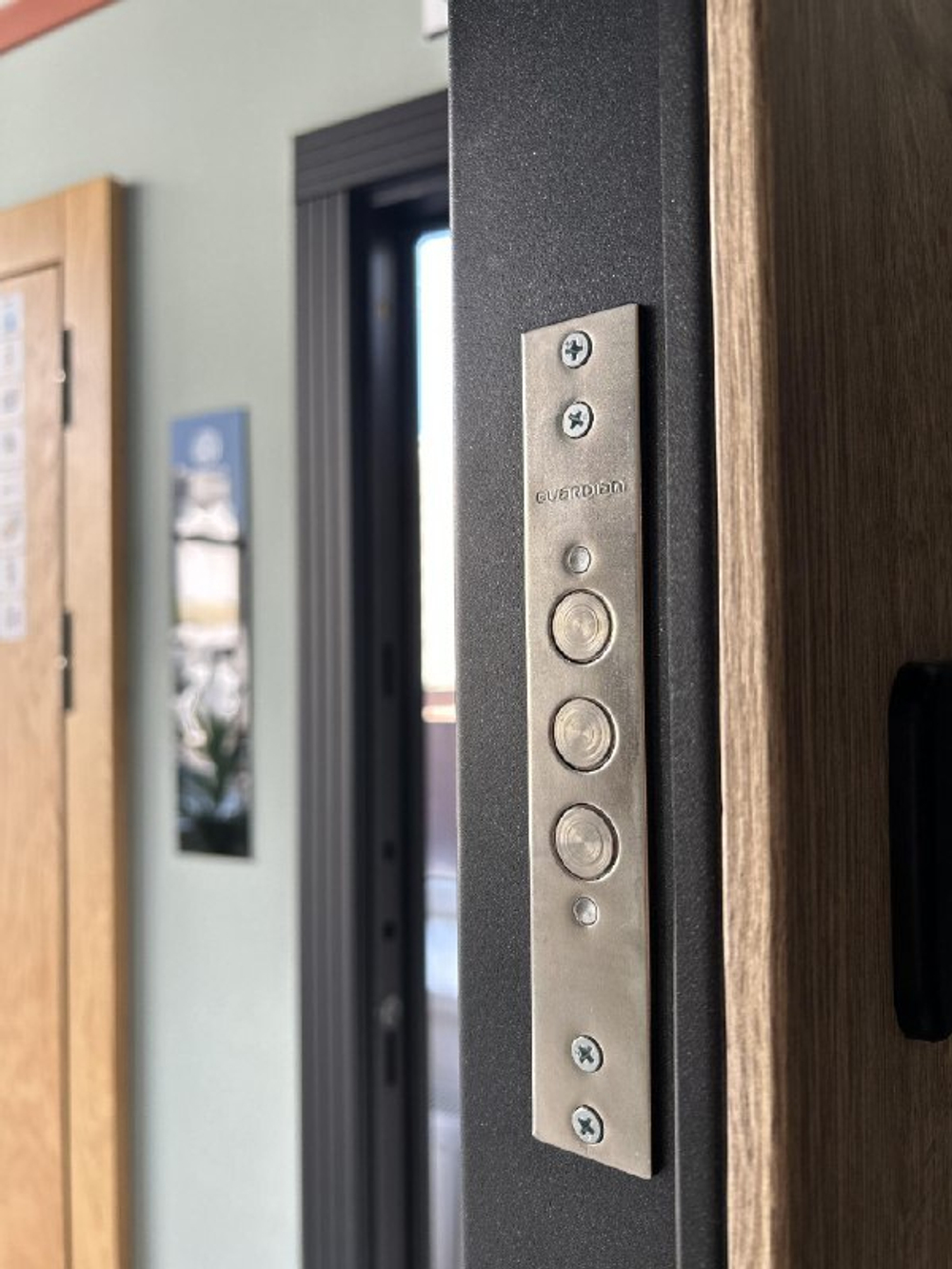 Дверь входная Бруно