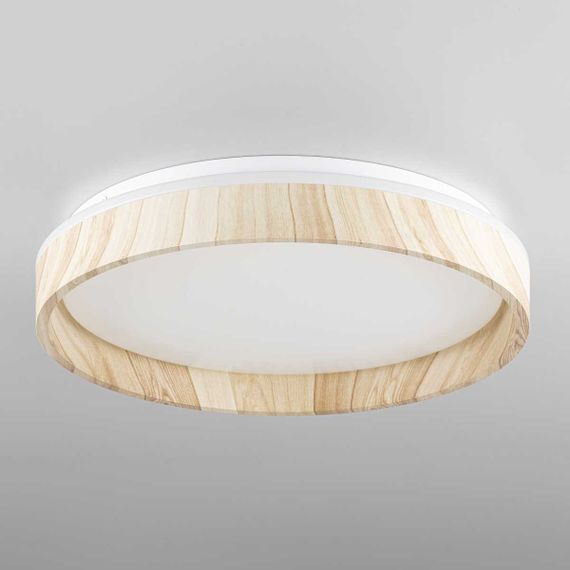 Потолочный светильник Citilux CL753352G