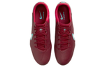 Кроссовки Nike Legend Pro Ag