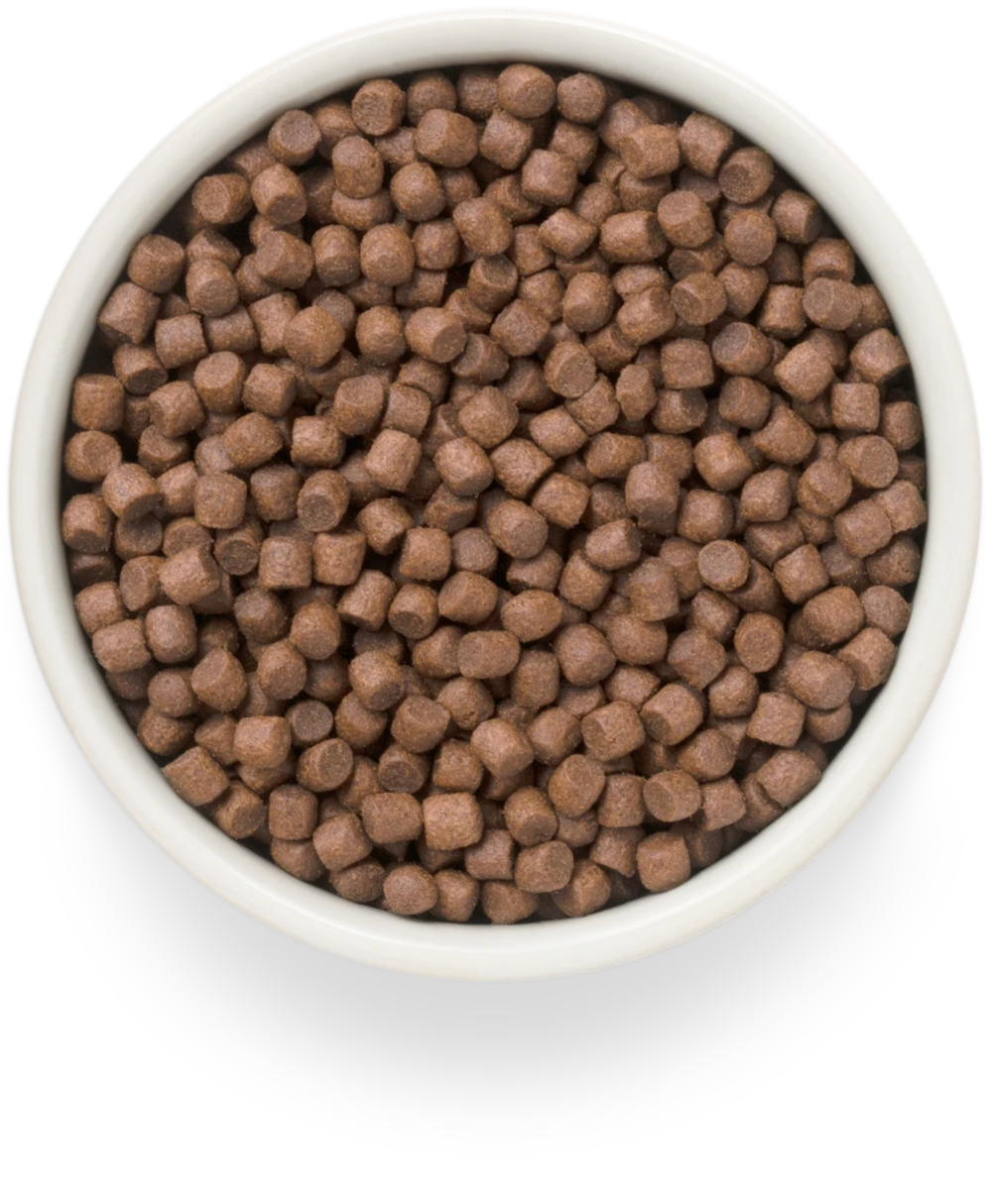 GRANDORF FRESH Свежее мясо утки с бататом для собак мелких пород