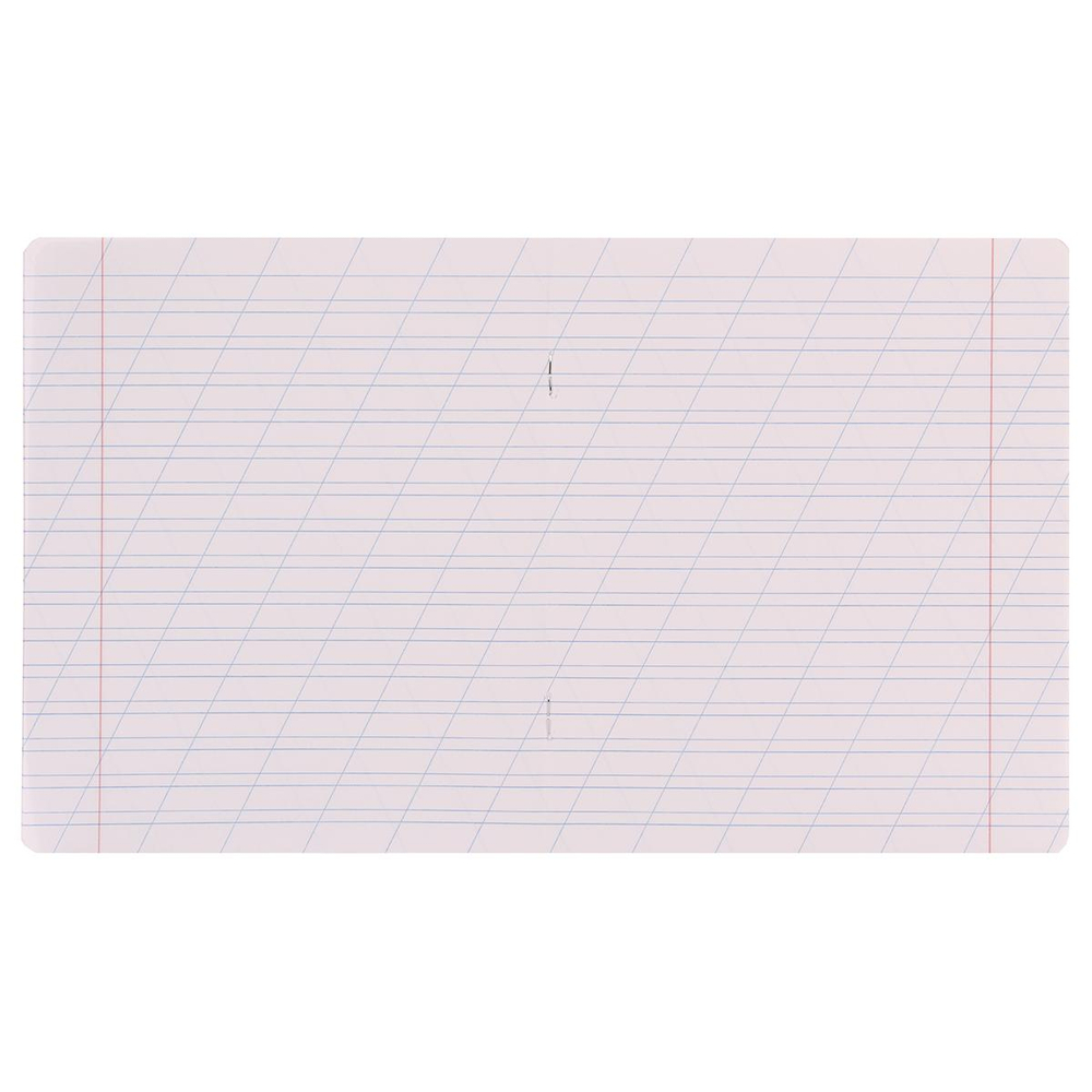 Тетрадь школьная А5 12л косая линия,ассорти "Классика Light" (Erich Krause) микс цветов (комплект 5 шт)