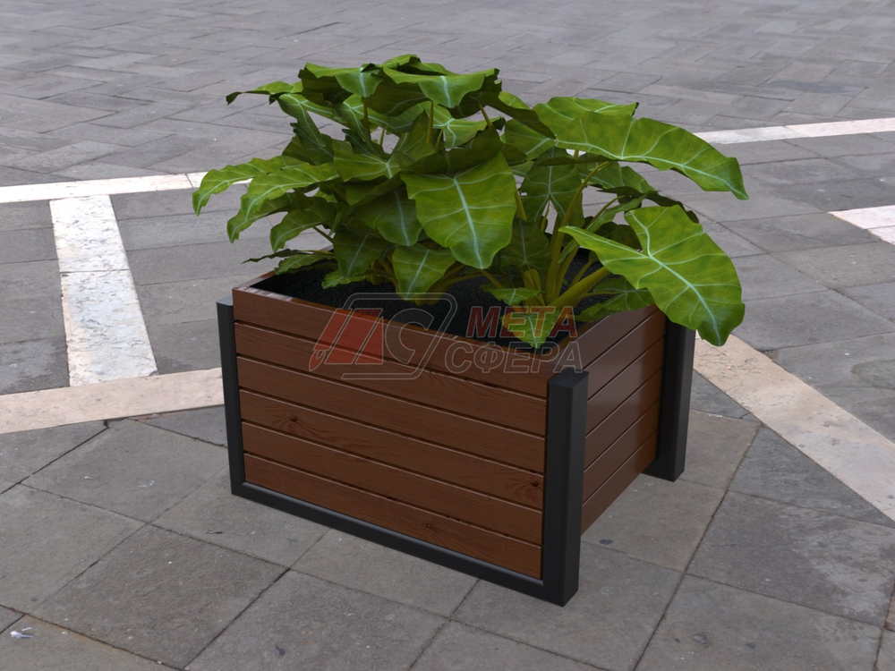 Вазон Модена