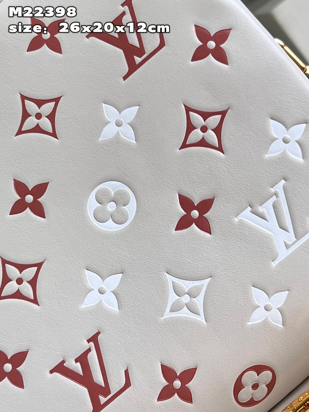 Louis Vuitton Coussin PM