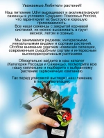 Дипладения Огонь и лёд Мандевила