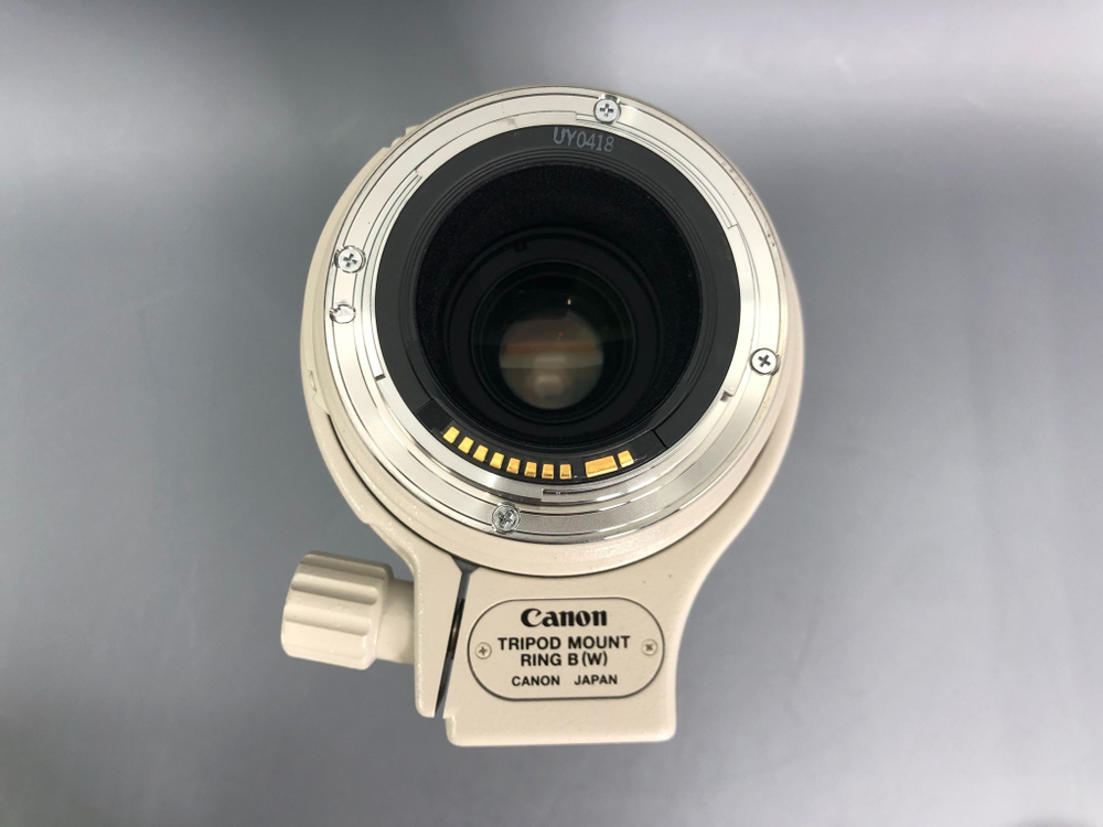 Canon EF 100-400mm 4.5-5.6L IS