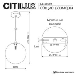 Citilux ORTON CL202021 Подвесной светильник Дымчатый