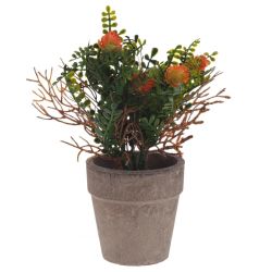 GAEM Цветочная композиция, L9 W9 H18 см, 5в.