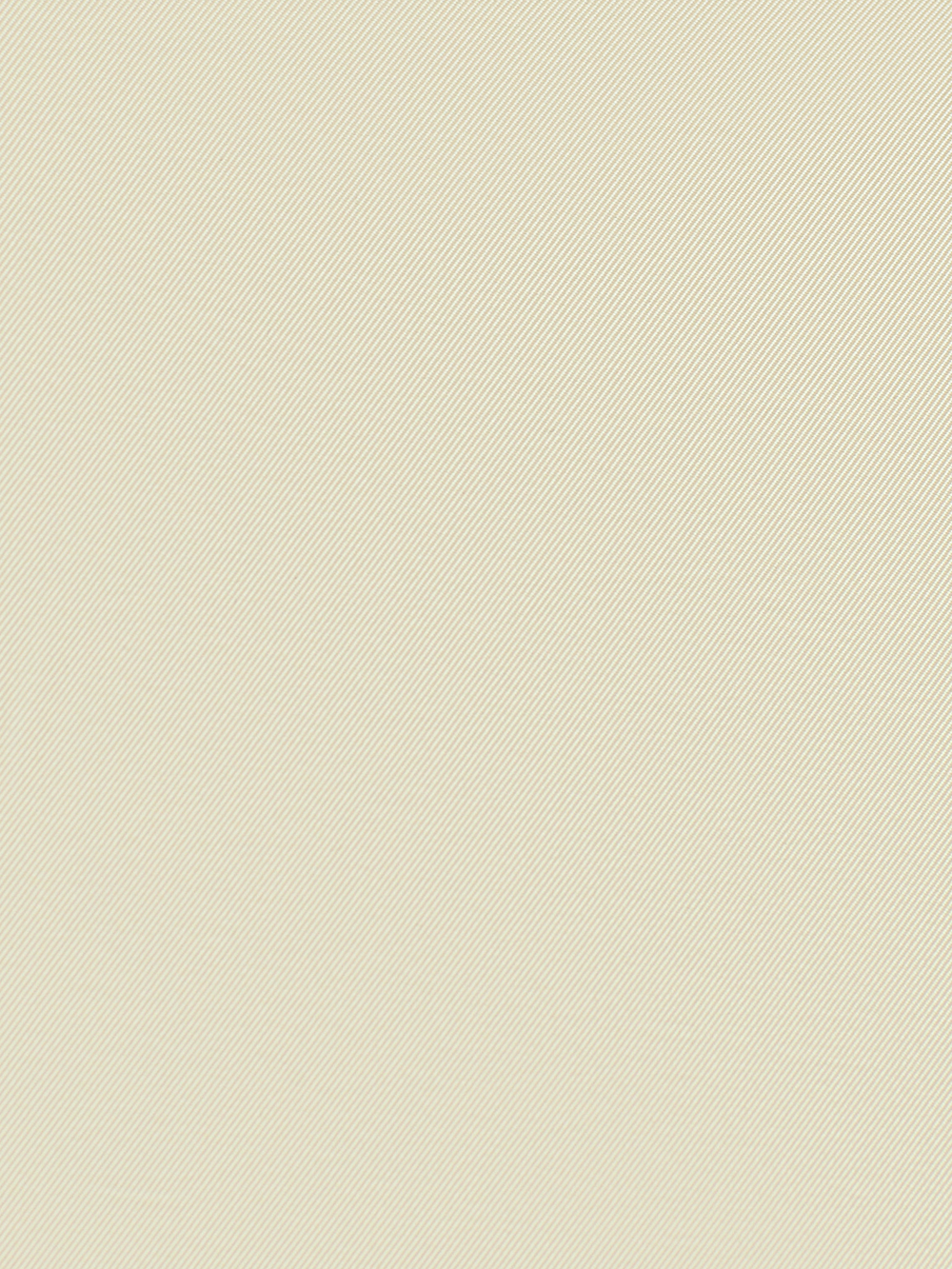 БАХИЛЫ СПЕЦИАЛЬНЫЕ ЗАЩИТНЫЕ BASK OVERBOOTS ARMOR PRO