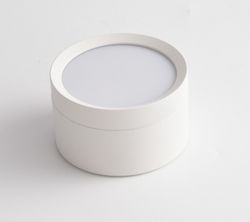 Накладной светильник Maytoni Hoop C086CL-GX53-SRD-W