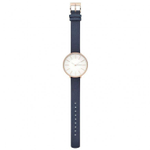 Женские наручные часы Skagen SKW2723