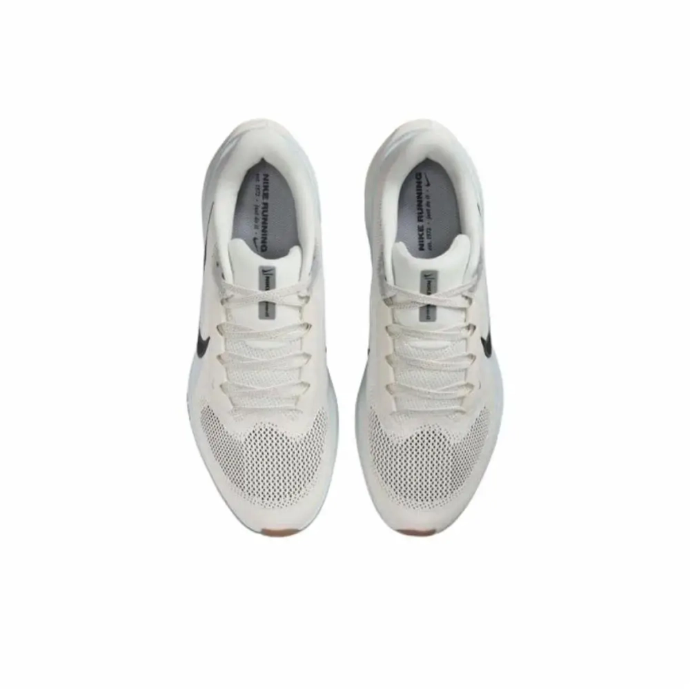 Мужские кроссовки Nike Air Zoom Pegasus 41 'Sail Blue Tint Wolf Grey' FD2722-113