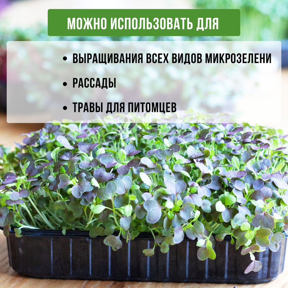 Лоток для выращивания свежей микрозелени / 18*11*5,5 см / 100 шт.