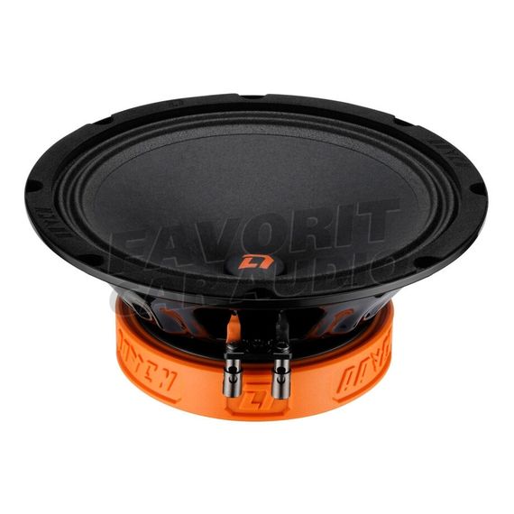 DL Audio Raven 200 V.2