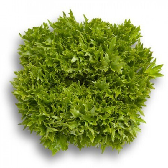 ЭКСАЙТ семена салата Rijk Zwaan купить – фото 2