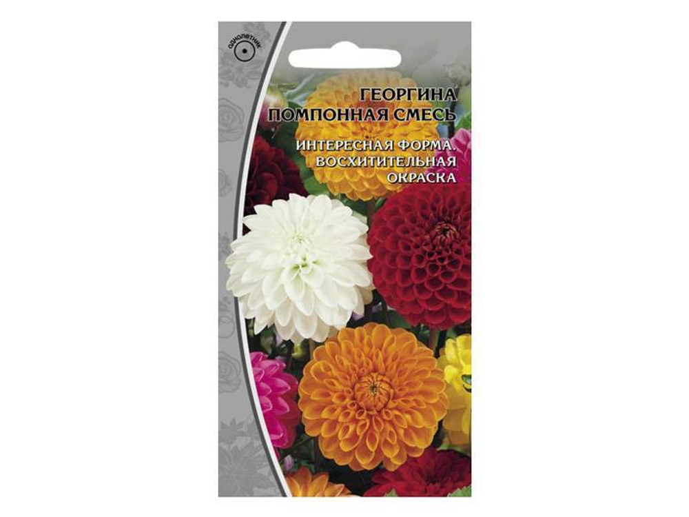ГЕОРГИНА Помпонная смесь (0,2г) Цв.пак (10шт)