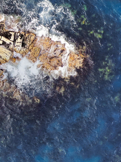 Крем для глубокого увлажнения Purito Hydro Wave Deep Sea Cream 50 мл.