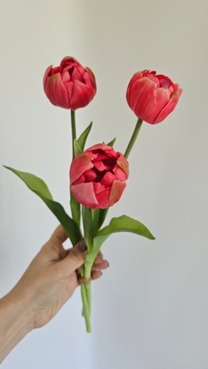 Тюльпаны круглые #03