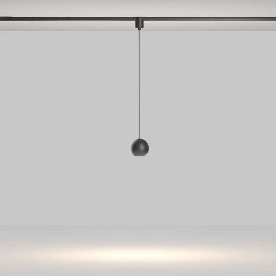 Трековый подвесной светильник Maytoni Technical TR165-1-8W3K-M-B