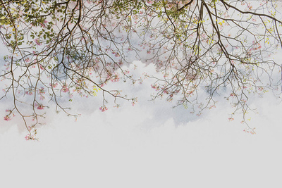 Обои с узором из линий 19502