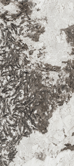 BUTTERFLY LOVE & GOLDEN FLOWER