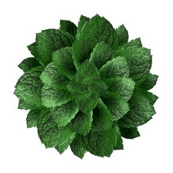 Картридж SOAK Q Cane Mint / Тростниковая мята