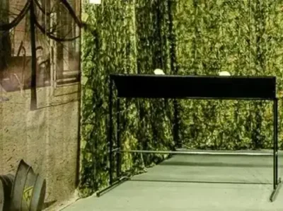 Мишень "Бегущий кабан"