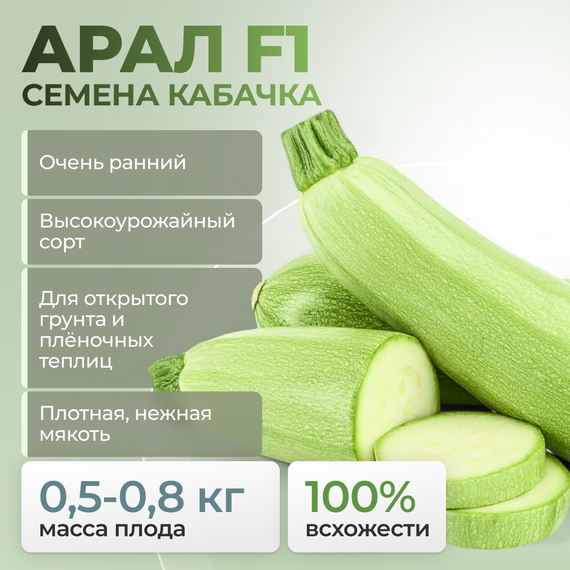 АРАЛ F1 семена кабачка (Sakata | Alexagro) оптом