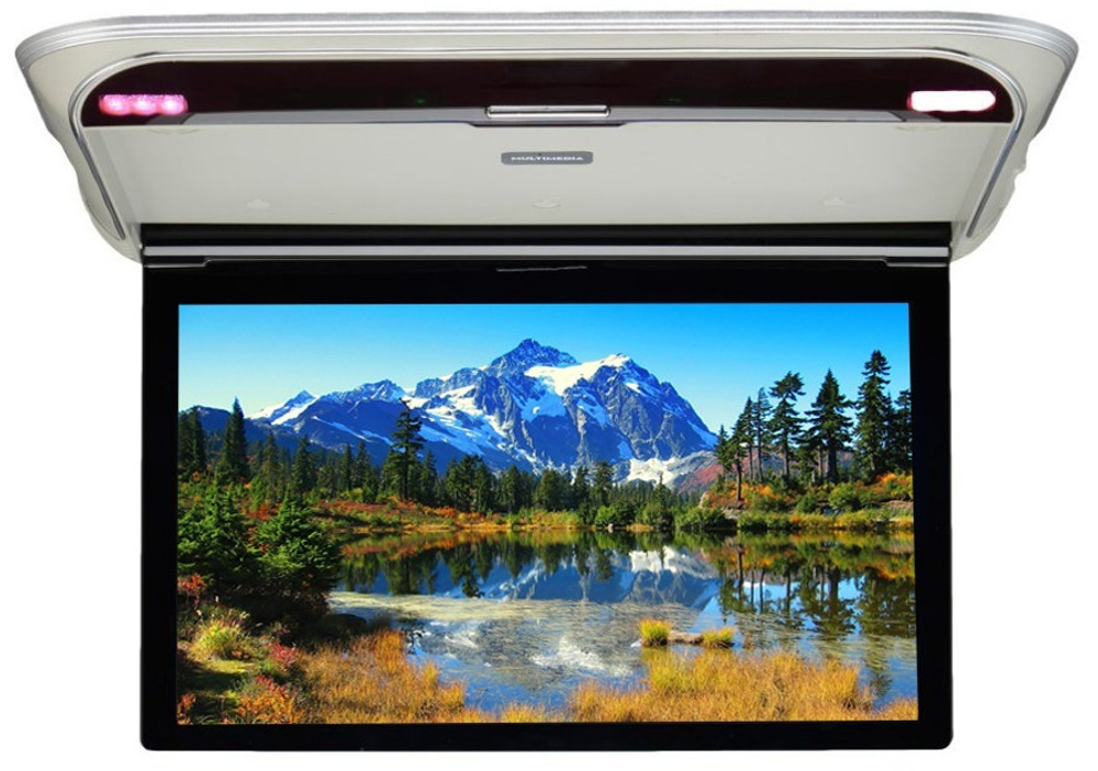 Монитор потолочный - ERGO ER17M с экраном 17.3” (1920х1080 FullHD) серый