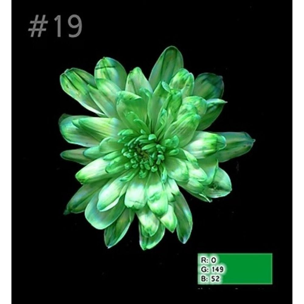 Краска ЗЕЛЕНЫЙ №19 1л