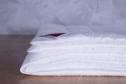 Одеяло всесезонное 200х220 German Grass Soft Comfort Grass 109140 Австрия-Россия вид