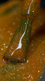 Гель-лак Neon disco 9 мл №1