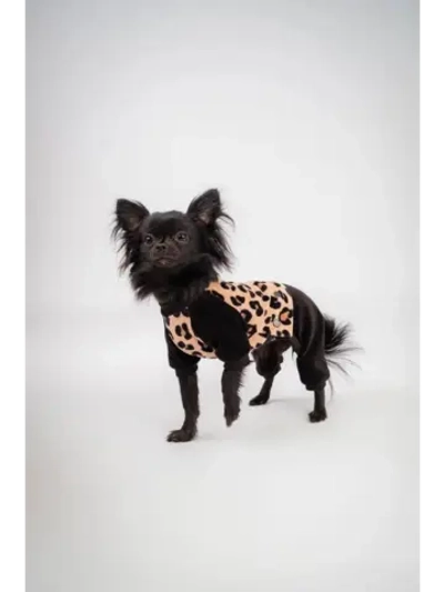 Комбинезон костюм для собак и кошек