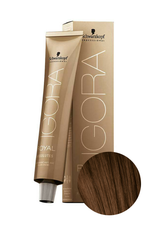 Краска для волос Igora Absolute 5-60 Светлый коричневый шоколадный натуральный Schwarzkopf Professional, 60 мл