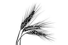 Препараты для растениеводства