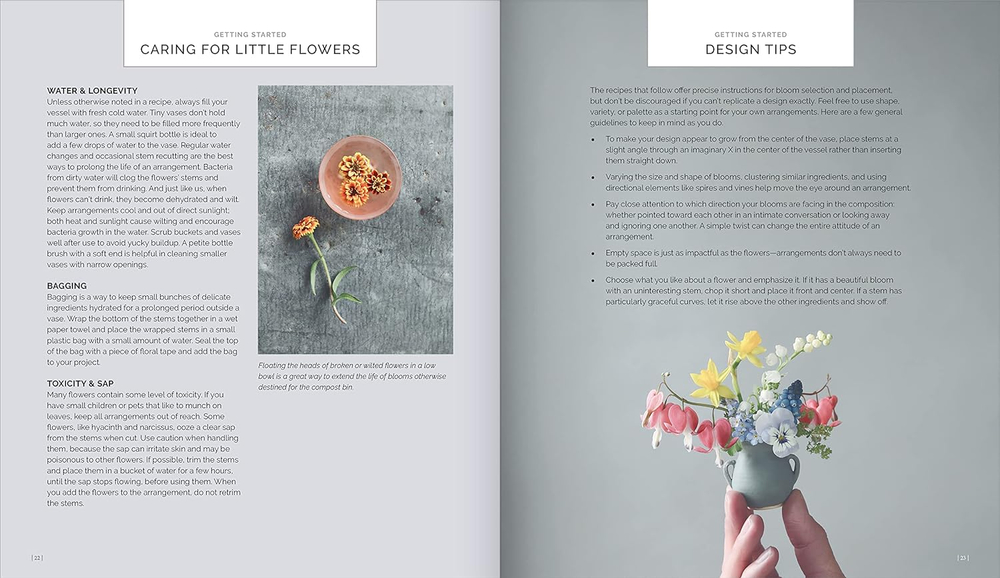 The Little Flower Recipe Book: 148 Tiny Arrangements for Every Season and Occasion