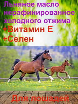 Льняное масло витамины Е селен для лошадей