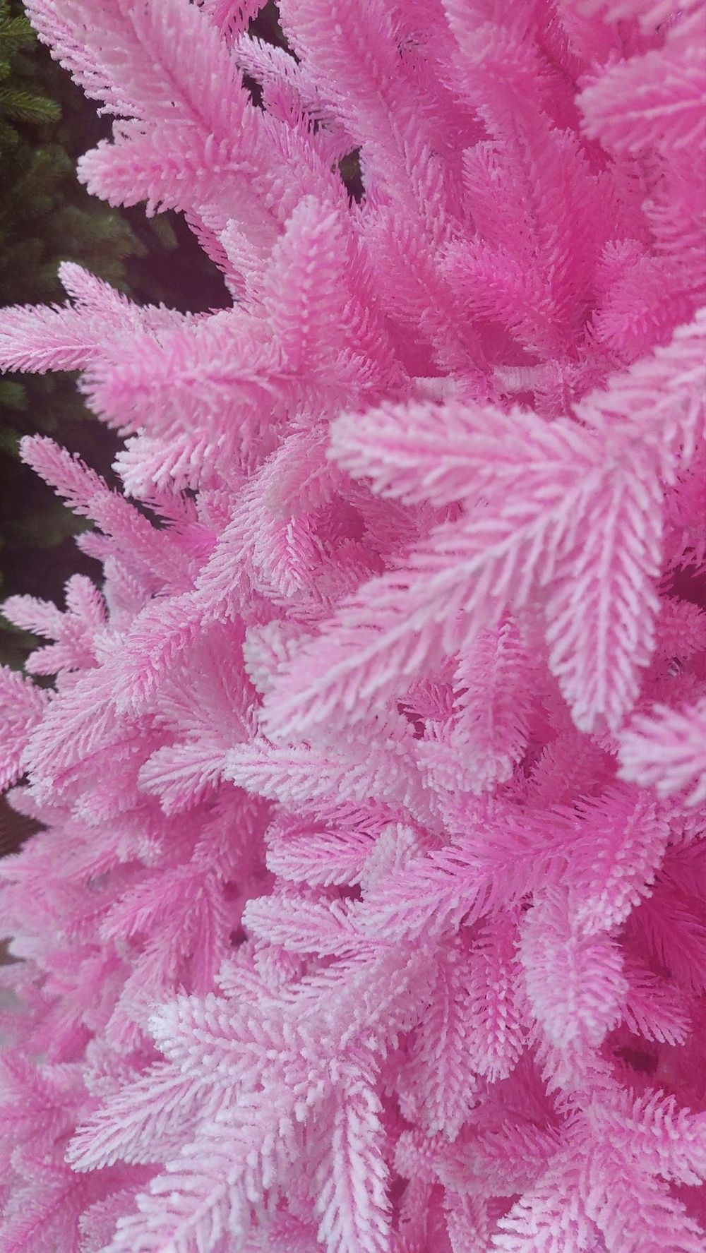 Заснеженная розовая елка «Фэнтези» (Литая хвоя) 270 см / 2,7 м