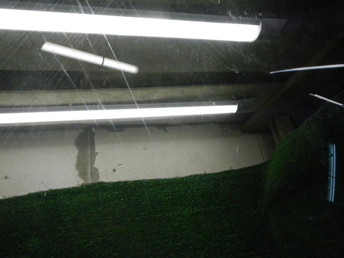 Стекло двери переднее левое BMW 5er F07 GT (2009-2017)